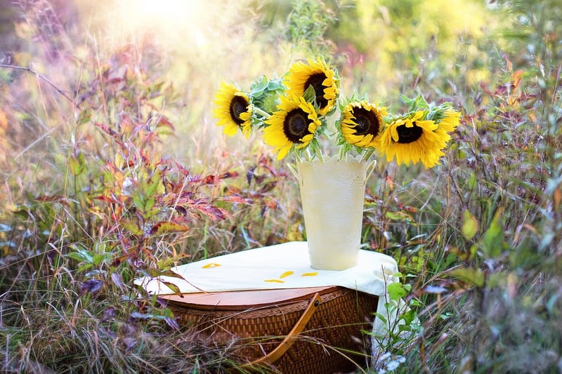 DIY Planters