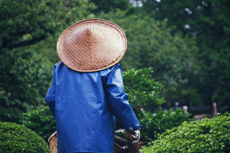 Fertilizing Plants